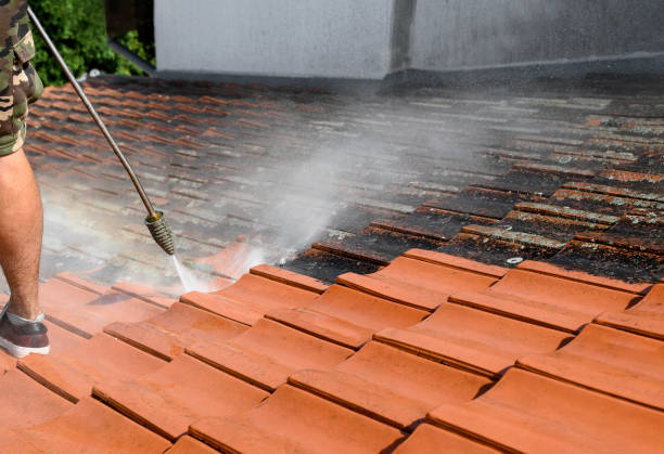 Best Local Pressure Washing Services  in University Of Lifornia Davis, CA